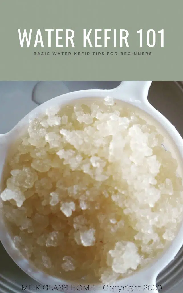 How to Make Water Kefir (Step-by-Step)
