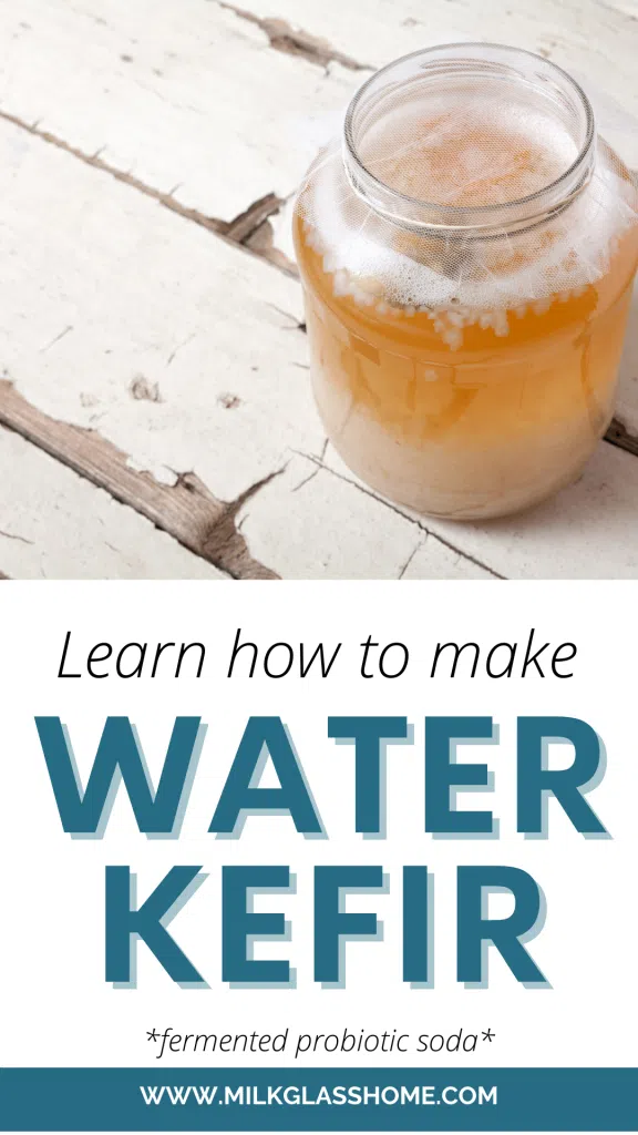 How to Make Water Kefir (Step-by-Step)