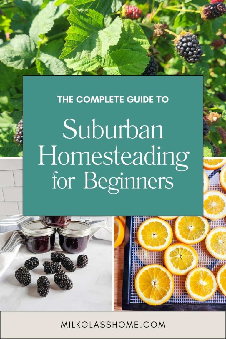The Complete Guide to Suburban Homesteading for Beginners