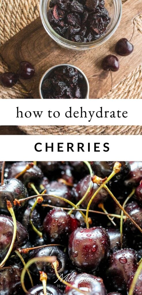 pin about how to dry cherries for long term storage using an oven or dehydrator.