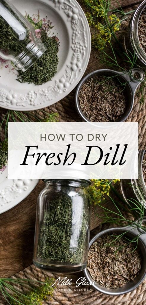 pin for how to dry fresh dill.