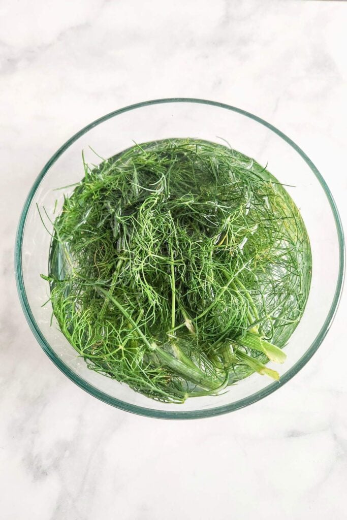 rinsing dill in cold water. 