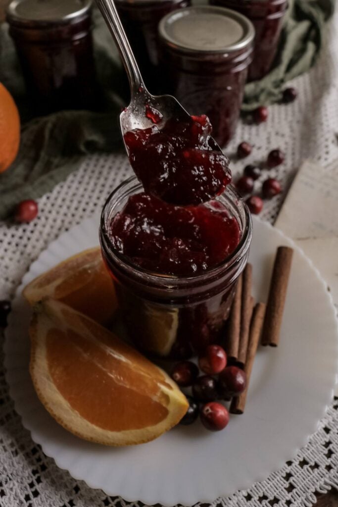 vintage spoon scooping cranberry sauce out of a jar.